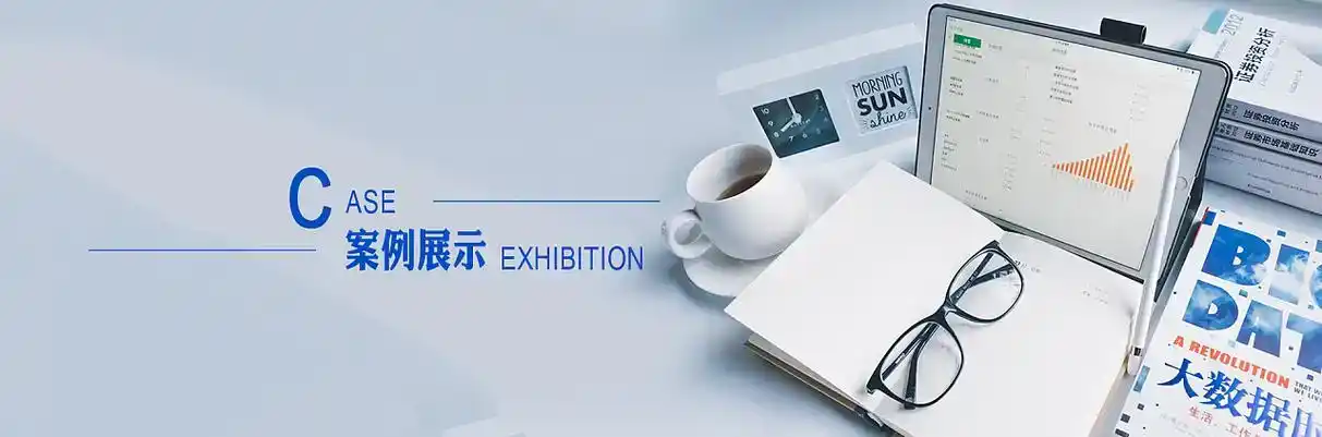 沧县软件开发